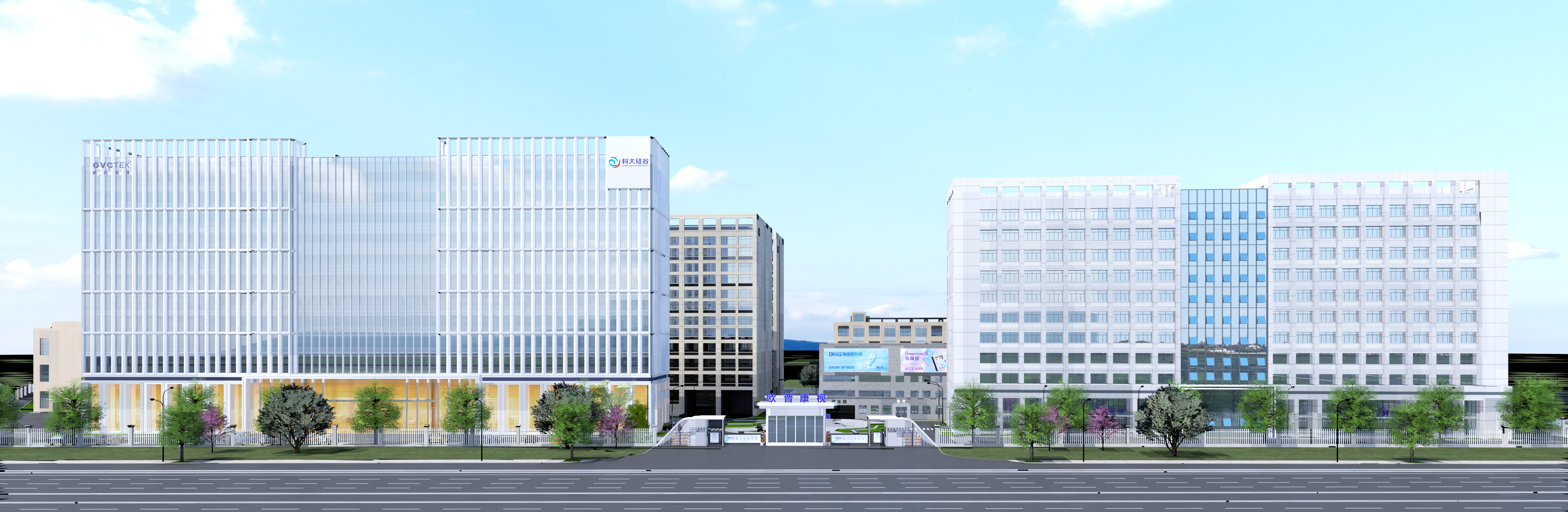 �ÿ�����