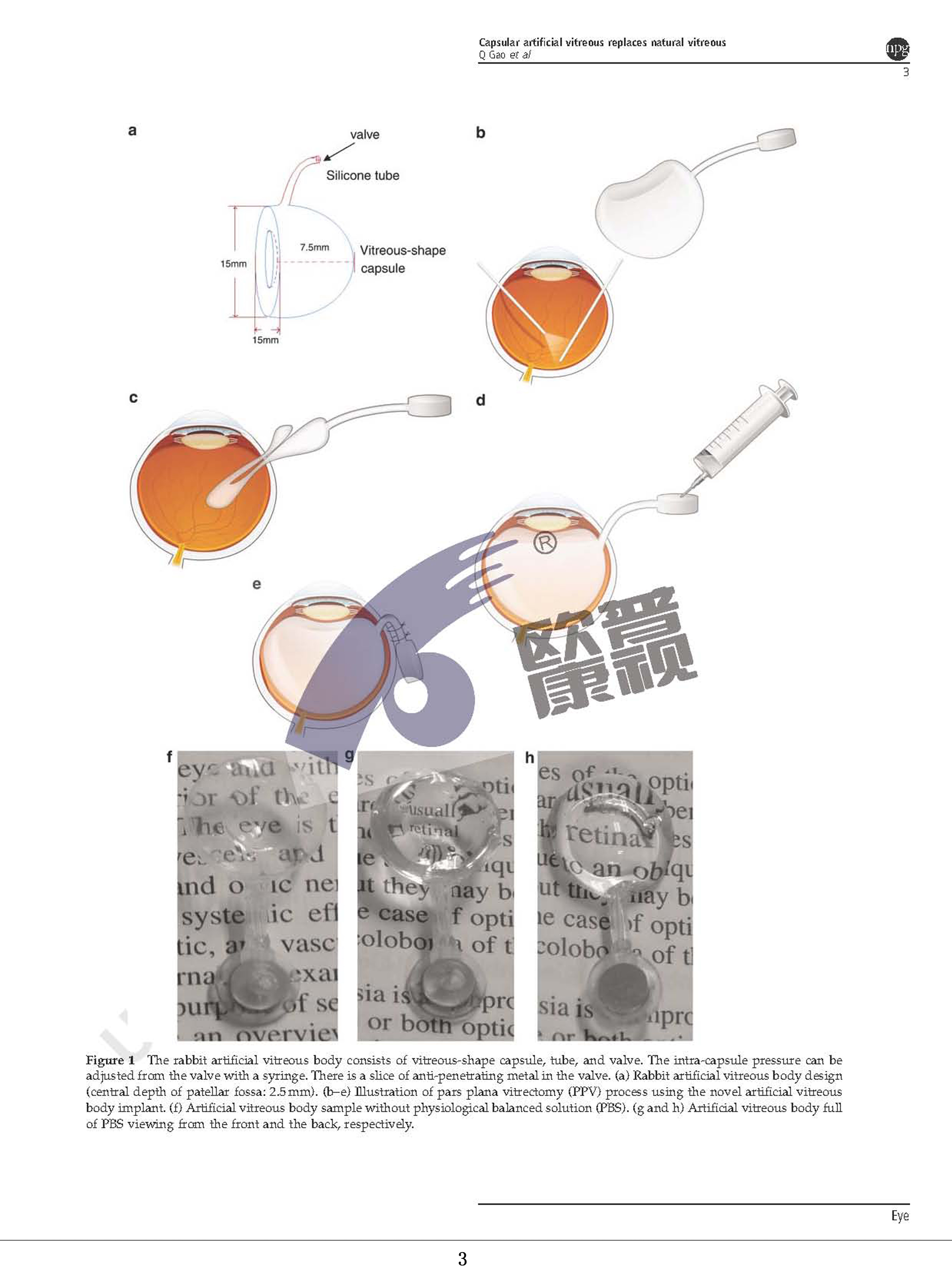 ����ϣ����williamhill(�й�)���Ĺٷ���վ