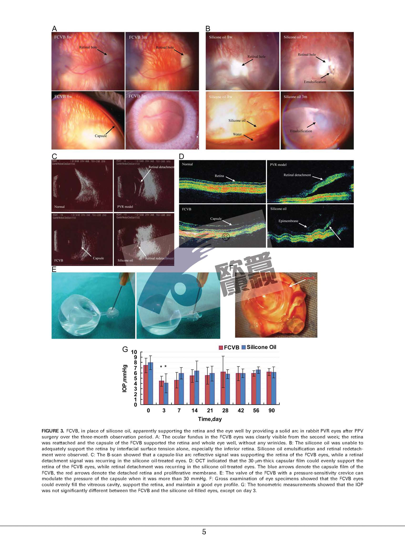 ����ϣ����williamhill(�й�)���Ĺٷ���վ
