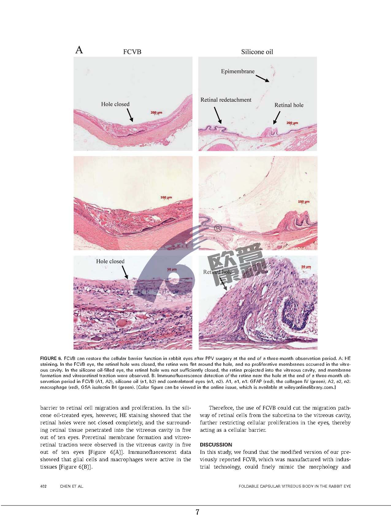 ����ϣ����williamhill(�й�)���Ĺٷ���վ