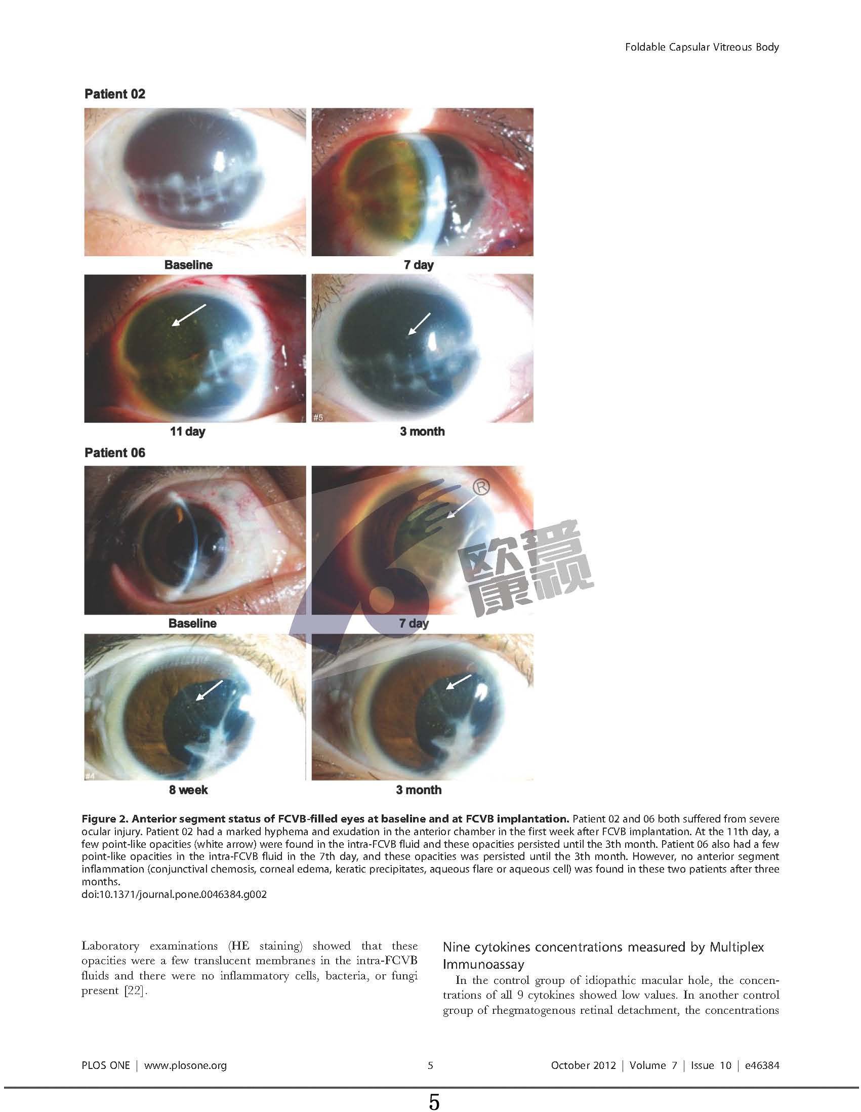 ����ϣ����williamhill(�й�)���Ĺٷ���վ