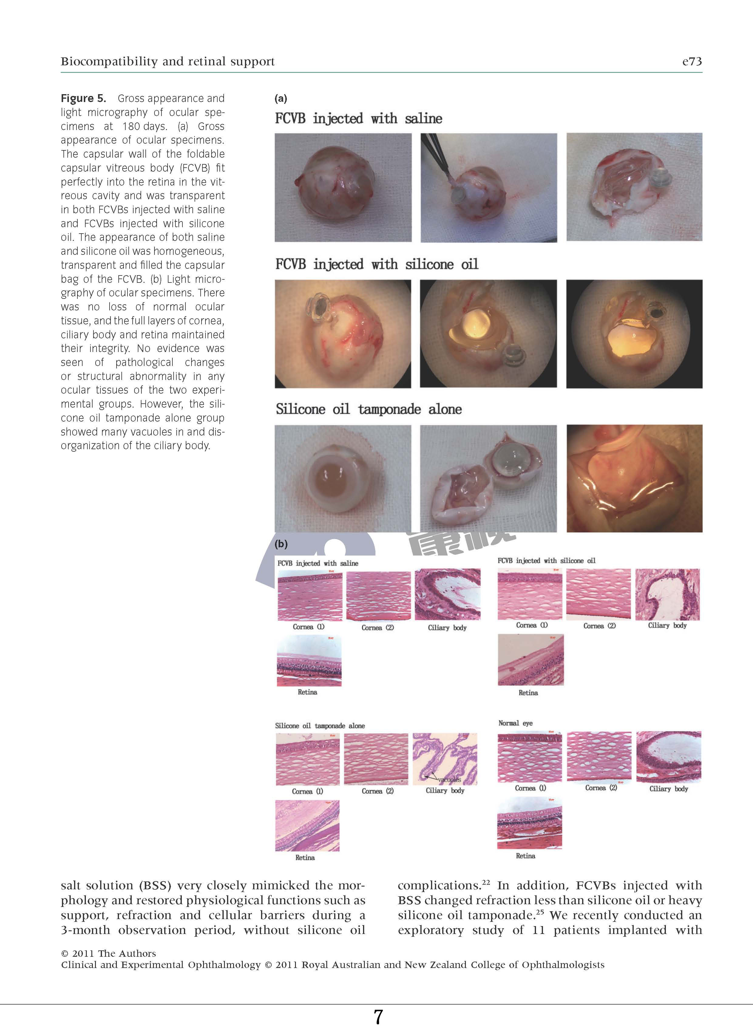 ����ϣ����williamhill(�й�)���Ĺٷ���վ