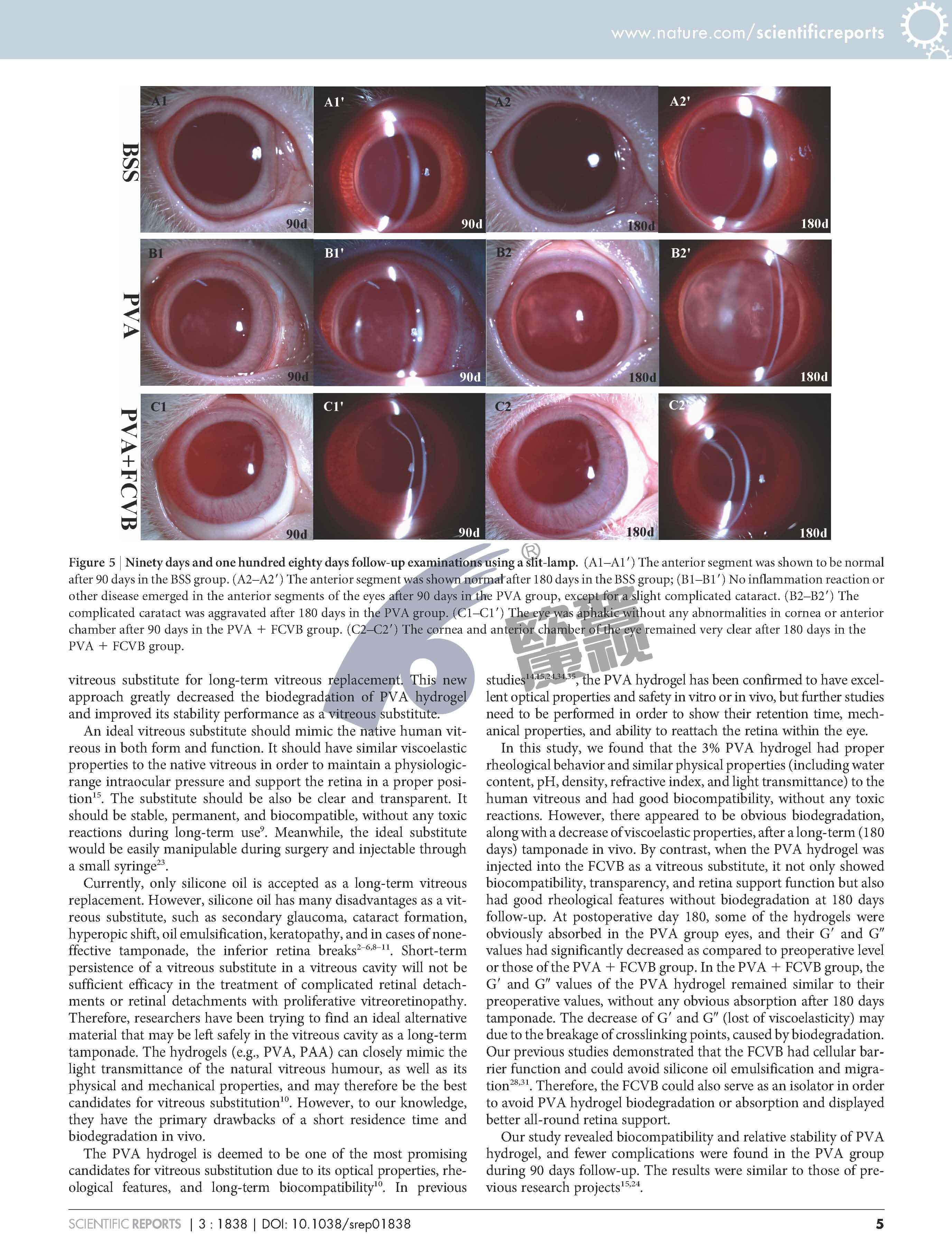 ����ϣ����williamhill(�й�)���Ĺٷ���վ