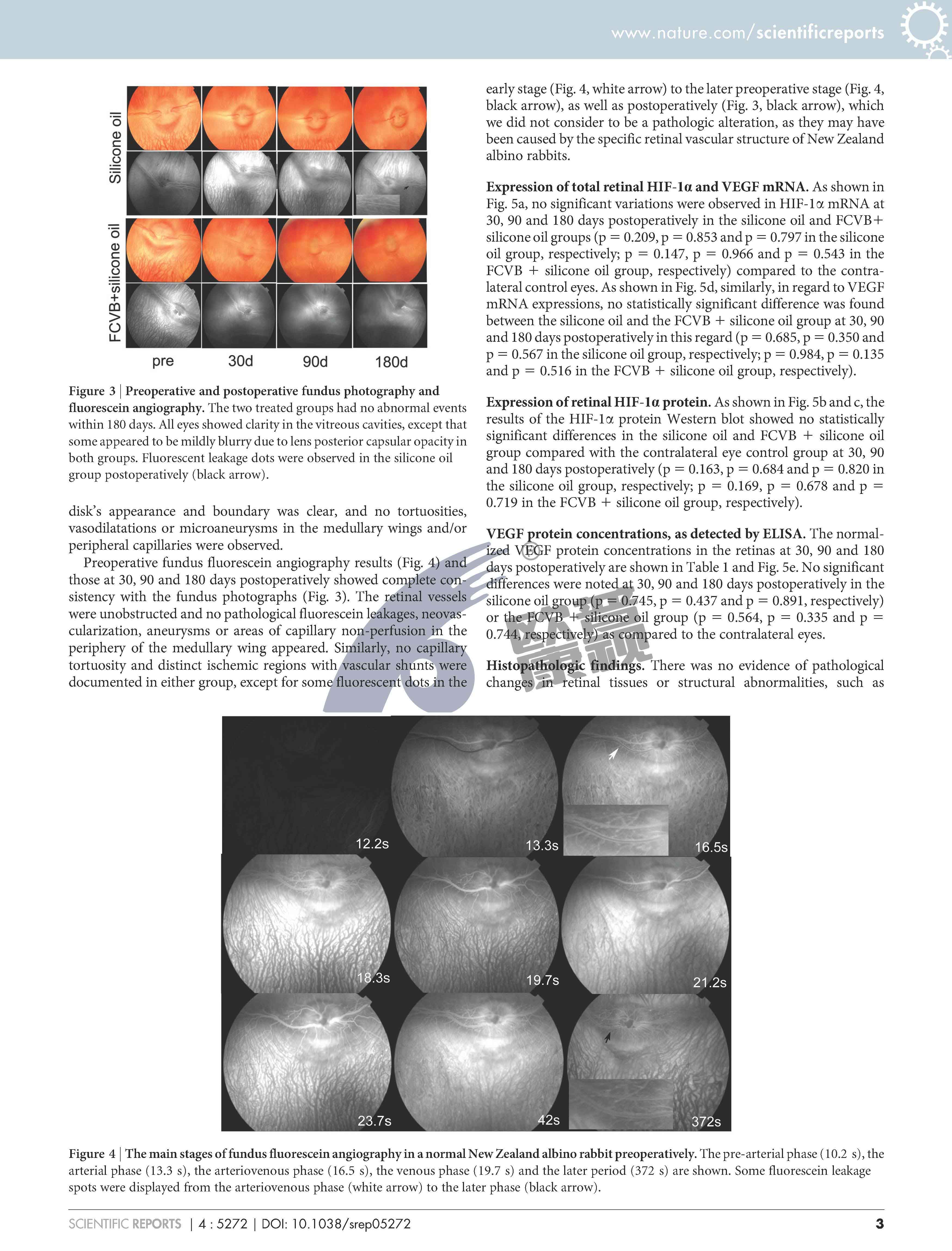 ����ϣ����williamhill(�й�)���Ĺٷ���վ