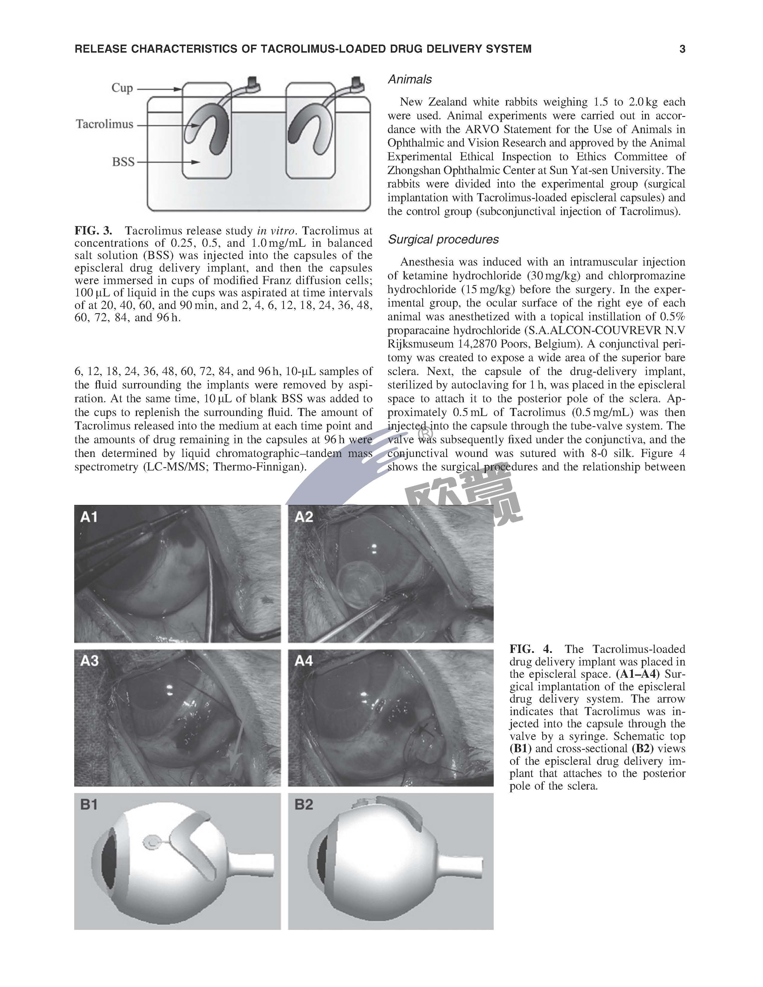 ����ϣ����williamhill(�й�)���Ĺٷ���վ
