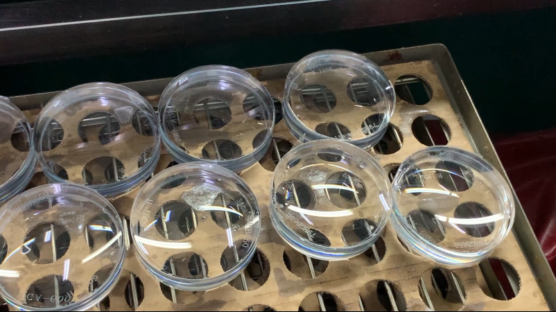 ����ϣ����williamhill(�й�)���Ĺٷ���վ