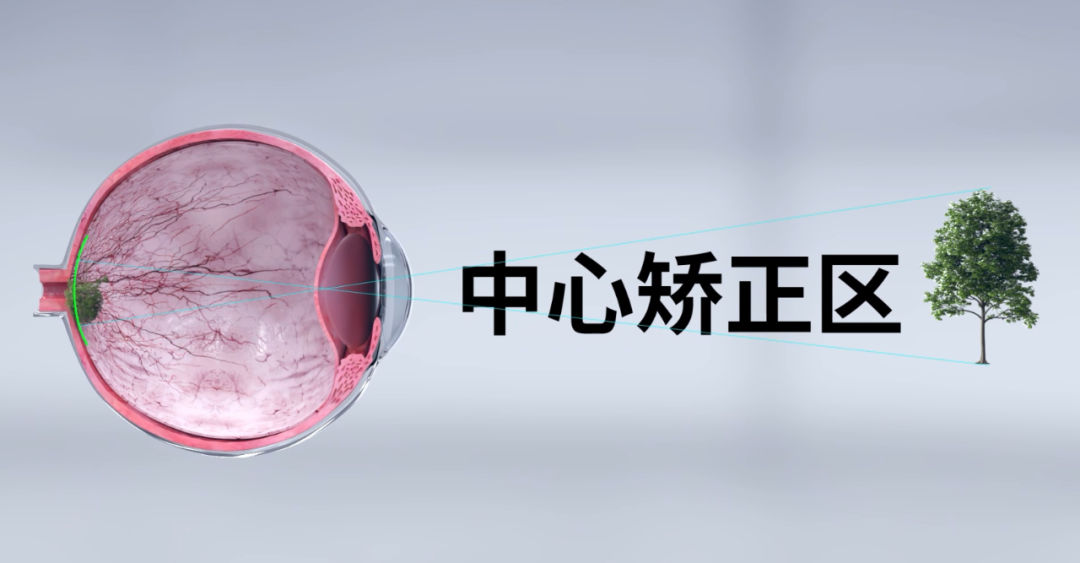 威廉希尔·williamhill(中国)中文官方网站